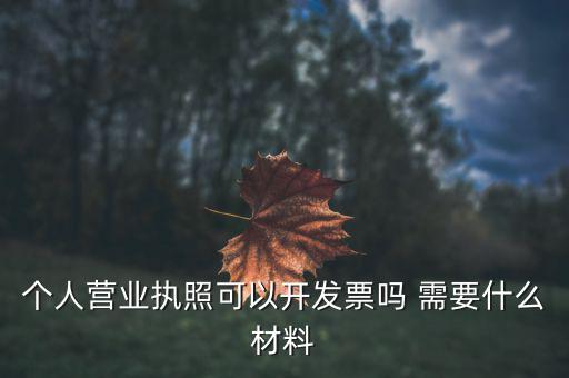 個體打印發(fā)票需要什么，個人購物開增值稅普通發(fā)票需要什么資料
