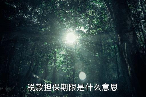 納稅擔保人什么意思，稅款擔保期限是什么意思