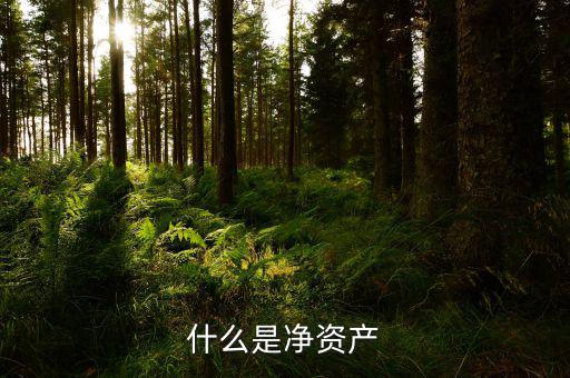 什么凈資產(chǎn)稅，什么是凈資產(chǎn)
