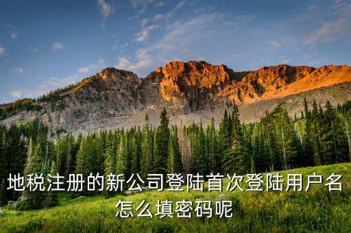 地稅登錄名密碼是什么，地稅申報(bào)的用戶名和密碼是什么
