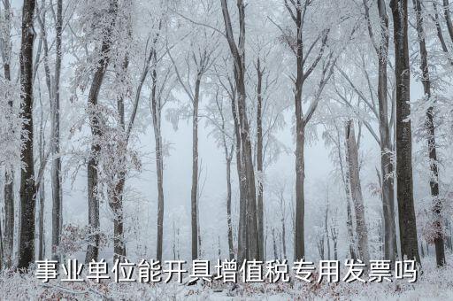 事業(yè)單位能開什么票，給事業(yè)單位開票是開專票還是普票