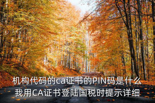 國稅ca證書登錄 密碼是什么，國稅第一次網(wǎng)上申報(bào)的登陸密碼是什么