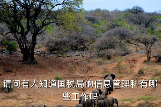 稅務(wù)信息崗位主要負(fù)責(zé)什么，地稅信息中心具體做些什么工作