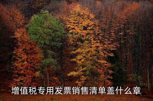 發(fā)票報(bào)銷要蓋什么章，增值稅專用發(fā)票銷售清單蓋什么章