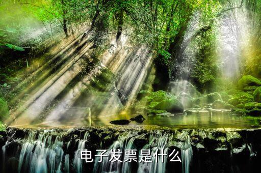電子發(fā)票單位是什么樣的，什么叫電子發(fā)票