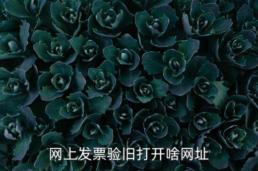 山東省網(wǎng)絡(luò)開票網(wǎng)址是什么，網(wǎng)上發(fā)票驗舊打開啥網(wǎng)址