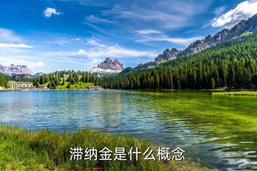 稅務(wù)局的滯納金是什么意思，稅收滯納金還有什么什么滯納金是什么意思