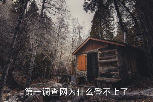 稅收調(diào)查為什么登陸不進去，為什么北京地稅局納稅申報登陸不了