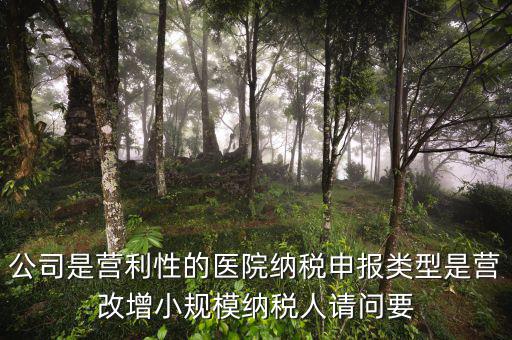營(yíng)改增醫(yī)院用什么發(fā)票，營(yíng)改增認(rèn)定的一般納稅人使用什么發(fā)票