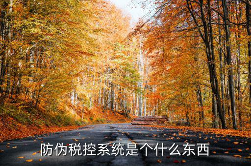 防偽稅控一體化什么時候，營改增后漢字防偽企業(yè)抄報稅時需要使用什么設(shè)備