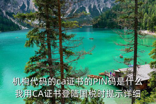 機(jī)構(gòu)代碼的ca證書(shū)的PIN碼是什么我用CA證書(shū)登陸國(guó)稅時(shí)提示詳細(xì)