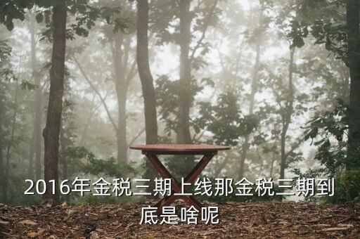 金稅三期具體什么意思，金稅三期是什么意思