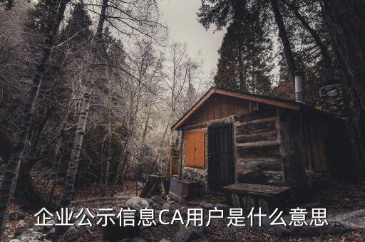 納稅人ca用戶是什么意思，什么是CA用戶啊