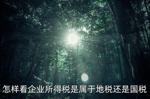 所得稅屬于什么稅，所得稅包括什么稅
