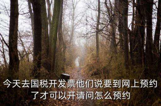 國(guó)稅預(yù)約的是什么，拿金稅盤去國(guó)稅前臺(tái)弄要預(yù)約嗎