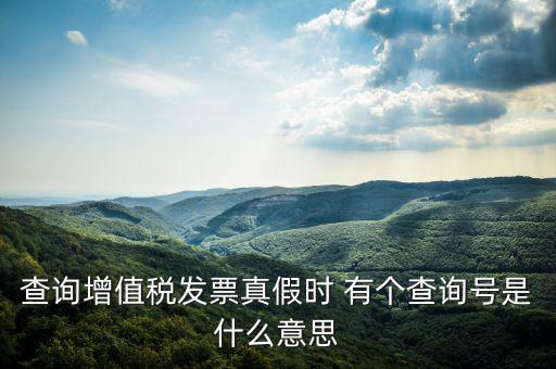 陜西省發(fā)票查詢號(hào)是什么意思，電子發(fā)票號(hào)碼是什么意思
