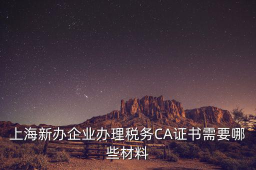 2014年7月份上海稅務(wù)局還需要審什么證，上海新辦企業(yè)辦理稅務(wù)CA證書需要哪些材料