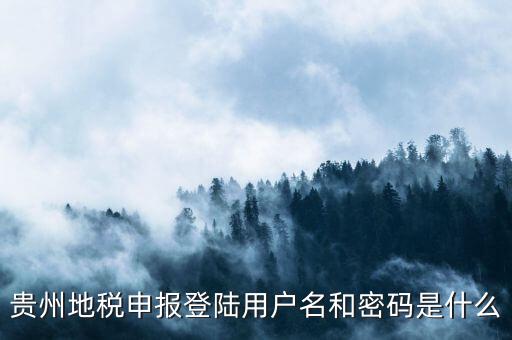 地稅登錄名密碼是什么意思，地稅申報(bào)的用戶名和密碼是什么