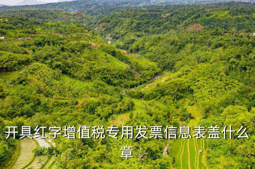 發(fā)票章什么樣子，開具紅字增值稅專用發(fā)票信息表蓋什么章
