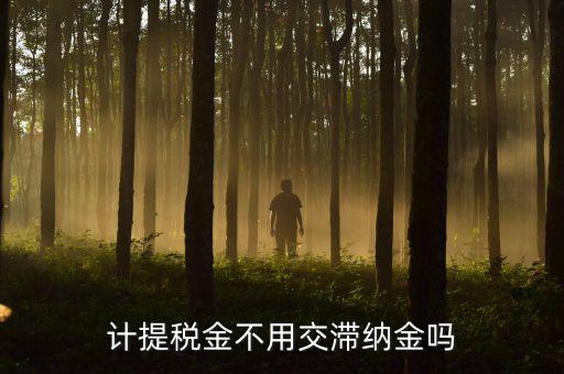 什么稅沒有滯納金，各種稅的滯納金一樣么