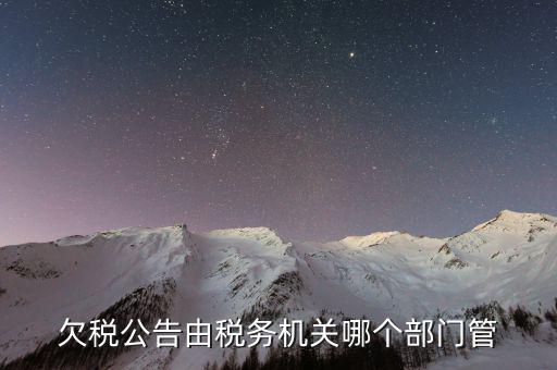 欠稅公告由稅務機關(guān)哪個部門管