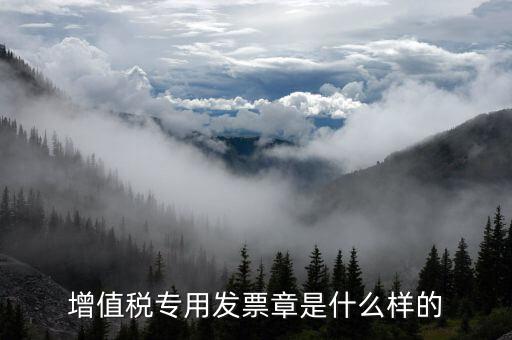 發(fā)票專用章什么樣子，增值稅專用發(fā)票章是什么樣的