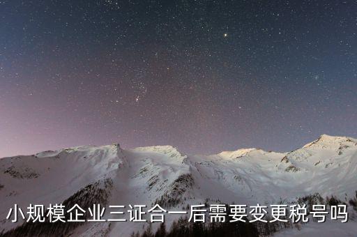 什么情況需要變更稅號，小規(guī)模企業(yè)三證合一后需要變更稅號嗎