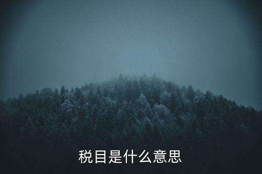 增值稅稅目是什么，增值稅是什么稅是什么