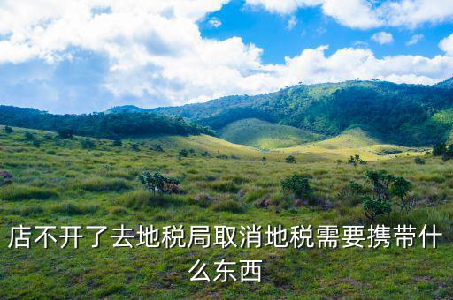 去地稅作廢申報需要帶什么手續(xù)，去地稅局辦撤回個人所得稅申報用帶什么