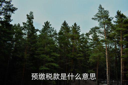已預(yù)繳稅費(fèi)指什么，預(yù)繳稅款是什么意思