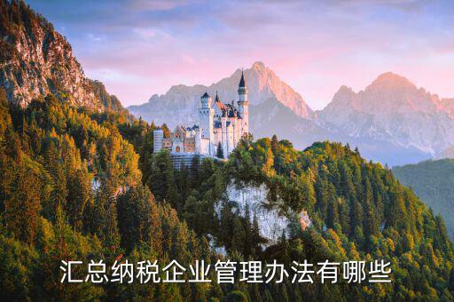 什么匯總納稅企業(yè)，什么是跨區(qū)經營匯總納稅企業(yè)