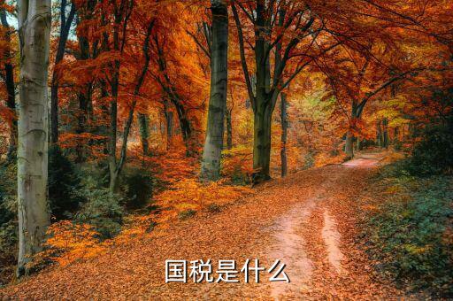 國(guó)稅無(wú)紙化辦稅是什么意思，開(kāi)通國(guó)稅是什么意思