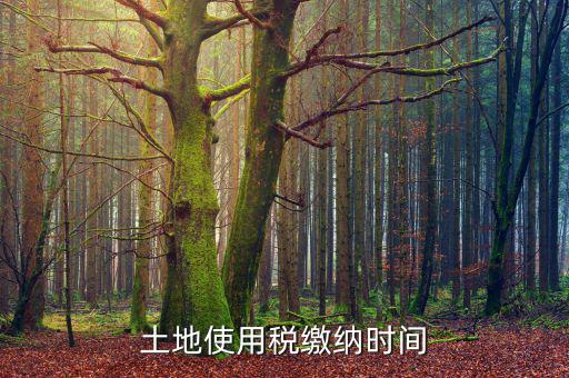 耕地占用稅什么時候交，土地契稅什么時候交