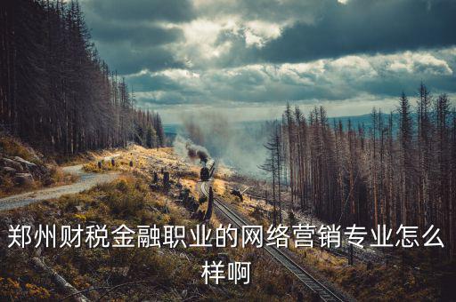 互聯(lián)網(wǎng)財(cái)稅銷售是什么，鄭州財(cái)稅金融職業(yè)的網(wǎng)絡(luò)營(yíng)銷專業(yè)怎么樣啊