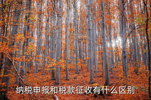什么是申報(bào)征收，什么是房產(chǎn)稅的申報(bào)繳納