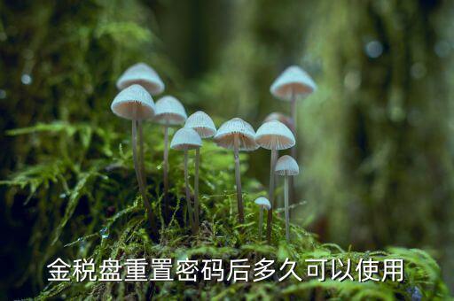ca國稅密碼重置后是什么，樂稅社區(qū)稅友提問CA登錄時的密碼是什么納稅人自己定的還是稅