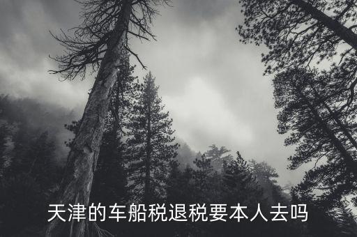 車船稅退稅需要什么資料，車船稅多收了如何辦理退稅手續(xù)