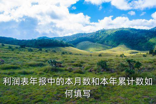 年報(bào)利潤(rùn)表根據(jù)什么填寫，利潤(rùn)表年報(bào)中的本月數(shù)和本年累計(jì)數(shù)如何填寫