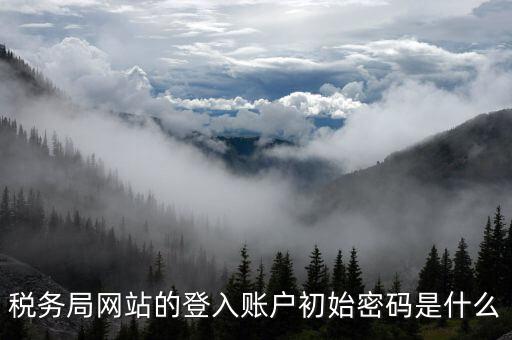 廣東國稅網(wǎng)登錄密碼是什么意思，稅務(wù)局網(wǎng)站的登入賬戶初始密碼是什么