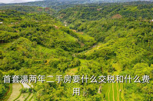 賣滿2年的房子交什么稅，商品房滿2年了出售的話需要交哪些稅詳細(xì)點(diǎn)