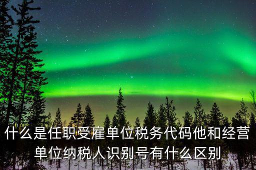 報稅自然人識別號是什么，個稅申報顯示存在相同唯一識別號是什么意思