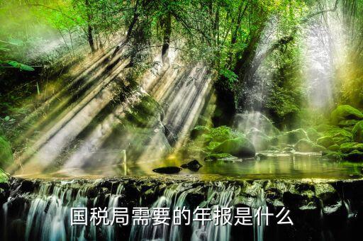 什么是稅務(wù)局年報(bào)，國(guó)稅局需要的年報(bào)是什么