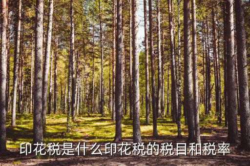 印花稅且什么稅，印花稅屬于什么稅種