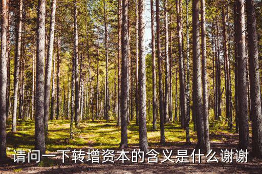 什么是利潤轉(zhuǎn)增資，什么叫轉(zhuǎn)增資本通俗一點越白話越好