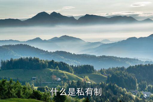 什么是特許權(quán)，什么是私有制