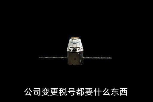 什么情況下變更稅號，公司變更稅號都要什么東西