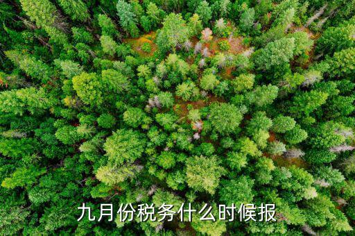 2017年9月份的稅什么報完，誰知道今年9月的個人所得稅怎么報怎么來計算的