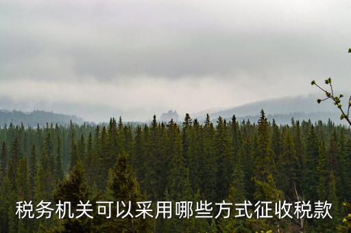 稅務(wù)局按什么征收稅務(wù)，稅務(wù)機(jī)關(guān)可以采用哪些方式征收稅款