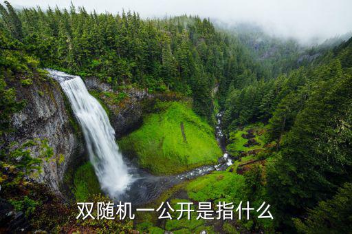 什么是稅務(wù)稽查雙隨機，會計基礎(chǔ)知識什么是稅務(wù)稽查