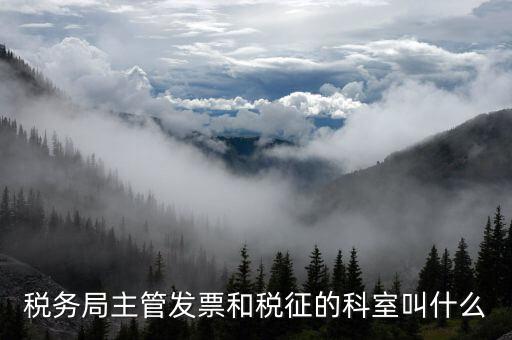 國稅稅務(wù)局都有什么科，稅務(wù)局主管發(fā)票和稅征的科室叫什么